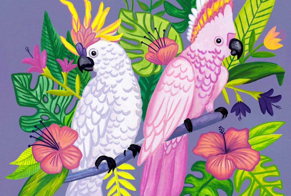 Birds of Paradise